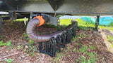 Rv Sewer Hose Support دعم خرطوم