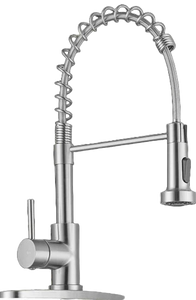 Kitchen Faucets Stainless Steel Matte Steel خلاط المطبخ
